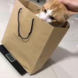 (Category: ) located in . Submitted by randomnesses (Listing ID 1348225356, Image 1). Description: .