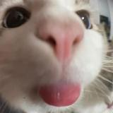 (Category: ) located in . Submitted by kittyloll (Listing ID 1437505800, Image 1). Description: .