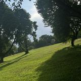 (Category: ) located in . Submitted by migorey (Listing ID 1203148399, Image 1). Description: .