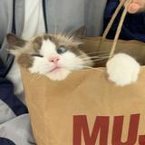 （分類：）位於 。 由 christyleung28009 提交（商品編號 1383963796，圖片 1）。簡介： 。