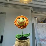 （分類：）位於 。 由 little.buyer.seller 提交（商品編號 1324051418，圖片 1）。簡介： 。