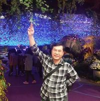由 a09393311241183 (刊登 ID 1385064905，圖片 1) 提交，位於 的 (類別：)，說明：。