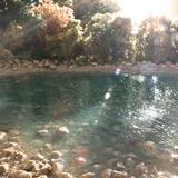 （分類：）位於 。 由 anniee23514425 提交（商品編號 1379514847，圖片 1）。簡介： 。