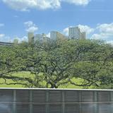 (Category: ) located in . Submitted by arch87 (Listing ID 1377898637, Image 1). Description: .