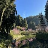 由 iris0422132 (刊登 ID 1328441631，圖片 1) 提交，位於 的 (類別：)，說明：。