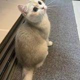 (Category: ) located in . Submitted by sale_sellingoffcheap. (Listing ID 1331515952, Image 1). Description: .