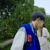 由 6zsssrs5hf (刊登 ID 1383850512，圖片 1) 提交，位於 的 (類別：)，說明：。