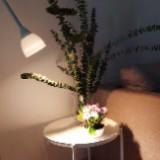 (Category: ) located in . Submitted by armoirefindsmnl (Listing ID 1296295072, Image 1). Description: .