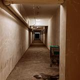 (Category: ) located in . Submitted by bloodshoji (Listing ID 1383035789, Image 1). Description: .