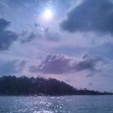 (Category: ) located in . Submitted by applestoreee (Listing ID 1341800795, Image 1). Description: .
