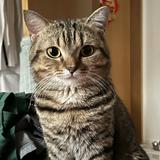 (Category: ) located in . Submitted by cat_char (Listing ID 1320168049, Image 1). Description: .