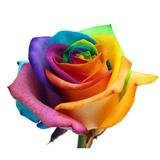 (Category: ) located in . Submitted by etvoila (Listing ID 1385040589, Image 1). Description: .