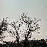 （分類：）位於 。 由 nicolenicoleeee 提交（商品編號 1202923350，圖片 1）。簡介： 。