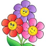 (Category: ) located in . Submitted by Happiness (Listing ID 1335974439, Image 1). Description: .
