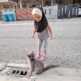 (Category: ) located in . Submitted by nurfarzanarauhah98 (Listing ID 1455900658, Image 1). Description: .