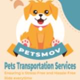 (Category: ) located in . Submitted by petsmov (Listing ID 1288650526, Image 1). Description: .