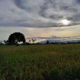 (Kategori: ) berada di . Dikirim oleh derayani10 (ID iklan 1386544662, Gambar 1). Deskripsi: .