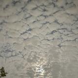 (Category: ) located in . Submitted by hq0619 (Listing ID 1353922150, Image 1). Description: .
