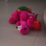 (Category: ) located in . Submitted by fernvaleglades (Listing ID 1381154701, Image 1). Description: .