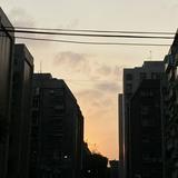 由 tingtingmy (刊登 ID 1372118096，圖片 1) 提交，位於 的 (類別：)，說明：。