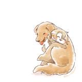 由 sunny481224 (刊登 ID 1382830622，圖片 1) 提交，位於 的 (類別：)，說明：。