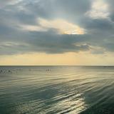 (Category: ) located in . Submitted by y4nnn (Listing ID 1369248025, Image 1). Description: .