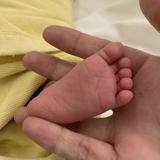 由 t7w49424 (刊登 ID 1299132958，圖片 1) 提交，位於 的 (類別：)，說明：。