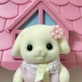 (Category: ) located in . Submitted by jassycouture (Listing ID 1306107126, Image 1). Description: .