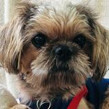 (Category: ) located in . Submitted by ms.independent (Listing ID 1377737332, Image 1). Description: .