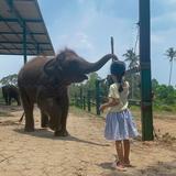 (Kategori: ) berada di . Dikirim oleh mama.gia (ID iklan 1385361564, Gambar 1). Deskripsi: .