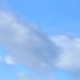(Category: ) located in . Submitted by miacns (Listing ID 1443467243, Image 1). Description: .