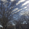 (Category: ) located in . Submitted by inddiggo (Listing ID 1335593281, Image 1). Description: .