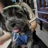 (Category: ) located in . Submitted by et0828 (Listing ID 1384399273, Image 1). Description: .