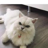 (Category: ) located in . Submitted by jillbesty_faith88 (Listing ID 1379294616, Image 1). Description: .