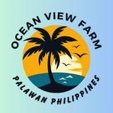 (Category: ) located in . Submitted by OceanViewPalawan (Listing ID 1159618932, Image 1). Description: .