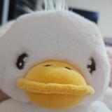 (Category: ) located in . Submitted by fredsthriftshop (Listing ID 1322323870, Image 1). Description: .