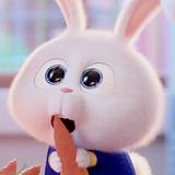 由 hola_uuuuu (刊登 ID 1370978489，圖片 1) 提交，位於 的 (類別：)，說明：。