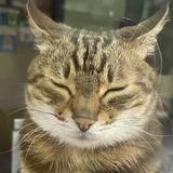 （分類：）位於 。 由 michaeltam1129 提交（商品編號 1269064645，圖片 1）。簡介： 。