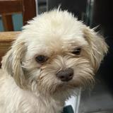 (Category: ) located in . Submitted by aronees (Listing ID 1368696554, Image 1). Description: .