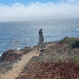 (Category: ) located in . Submitted by mah.am (Listing ID 1113838485, Image 1). Description: .