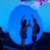 （分類：）位於 。 由 waynest 提交（商品編號 1343077322，圖片 1）。簡介： 。
