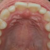 (Category: ) located in . Submitted by zzbroke (Listing ID 1384909768, Image 1). Description: .
