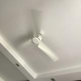 (Category: ) located in . Submitted by declutteringallmustgo (Listing ID 1379104425, Image 1). Description: .