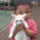 (Kategori: ) berada di . Dikirim oleh indrax99798 (ID iklan 1237648218, Gambar 1). Deskripsi: .