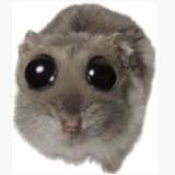 (Category: ) located in . Submitted by i_toad_so (Listing ID 1378236129, Image 1). Description: .