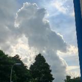 (Category: ) located in . Submitted by bryantleos (Listing ID 1384574495, Image 1). Description: .