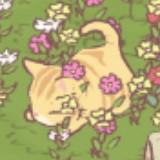 (Category: ) located in . Submitted by robirdpattinson (Listing ID 1354030513, Image 1). Description: .