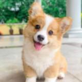 (Category: ) located in . Submitted by momodclutters (Listing ID 1417585644, Image 1). Description: .