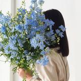 由 qunie129 (刊登 ID 1385901834，圖片 1) 提交，位於 的 (類別：)，說明：。