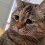 (Category: ) located in . Submitted by kimberlyxz (Listing ID 1349690626, Image 1). Description: .